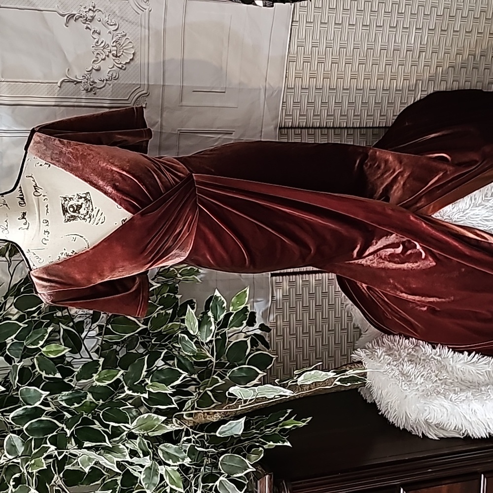 Revelry Velour Gown 6